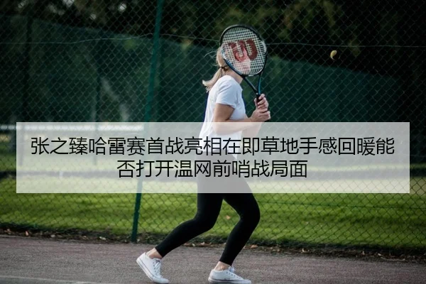 张之臻哈雷赛首战亮相在即草地手感回暖能否打开温网前哨战局面